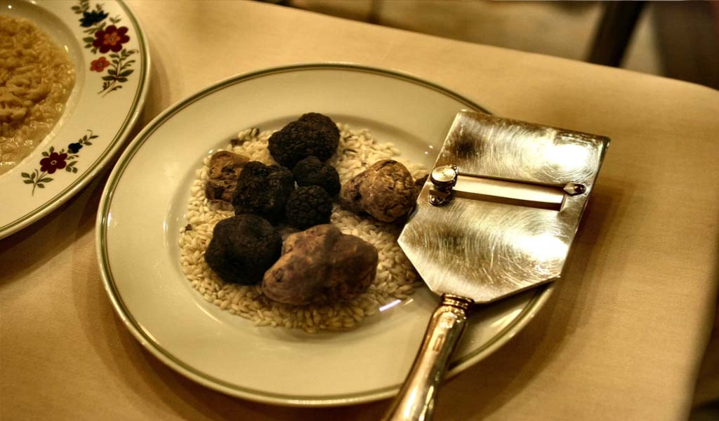 A delicious white and black Truffles on plate