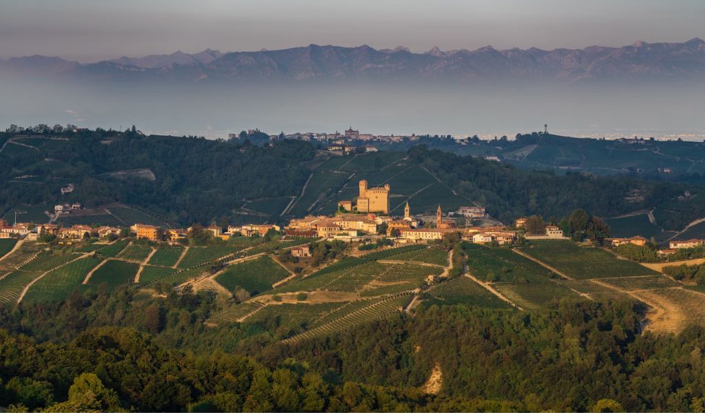 Langhe is an excellent destination for truffle hunting in Italy