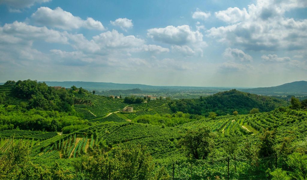A breathtaking view of vineyards and beautiful landscapes in the Prosecco Hills