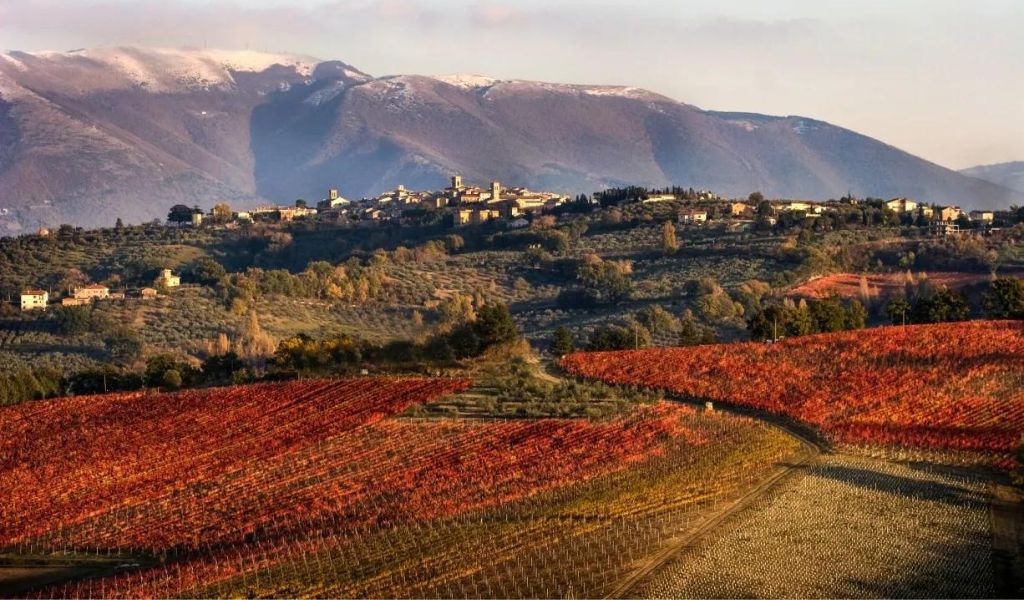 Umbria's Montefalco, Spello, and Assisi are enchanting Italian destinations, each with its unique charm. 