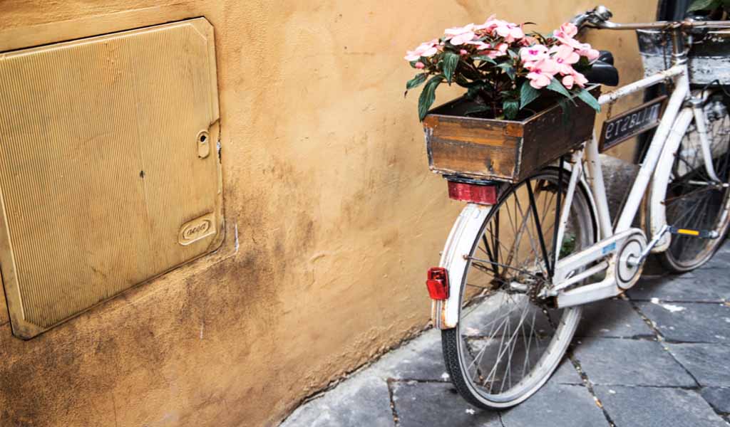 A white vintage bike with flowers on the back in Treviso.