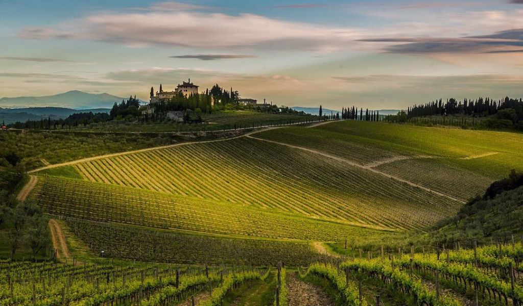 Breathtaking view of vineyards and landscapes in Tuscany 