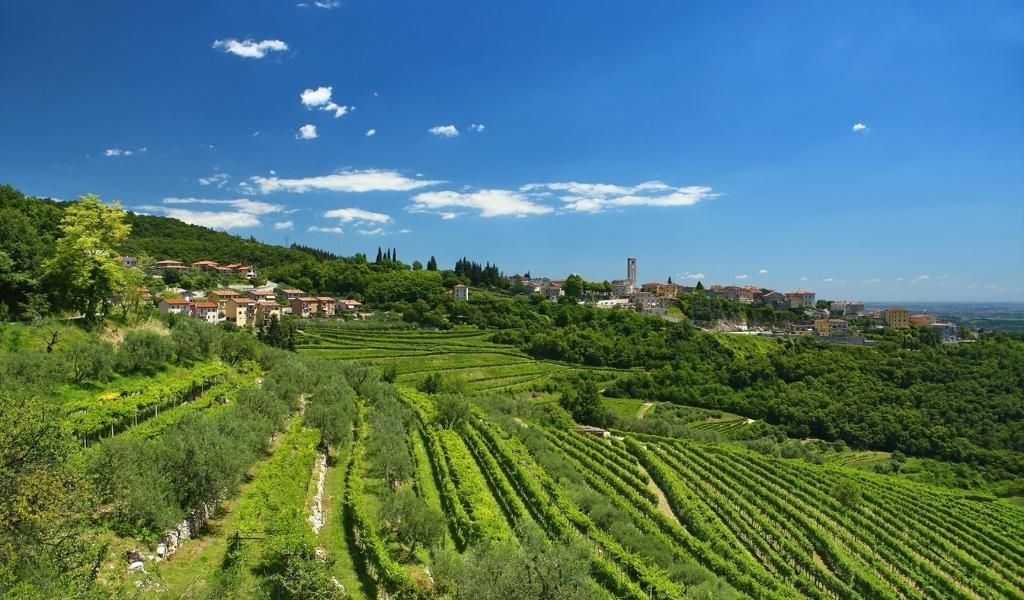 A breathtaking view of vineyards and houses on the hill in Valpolicella