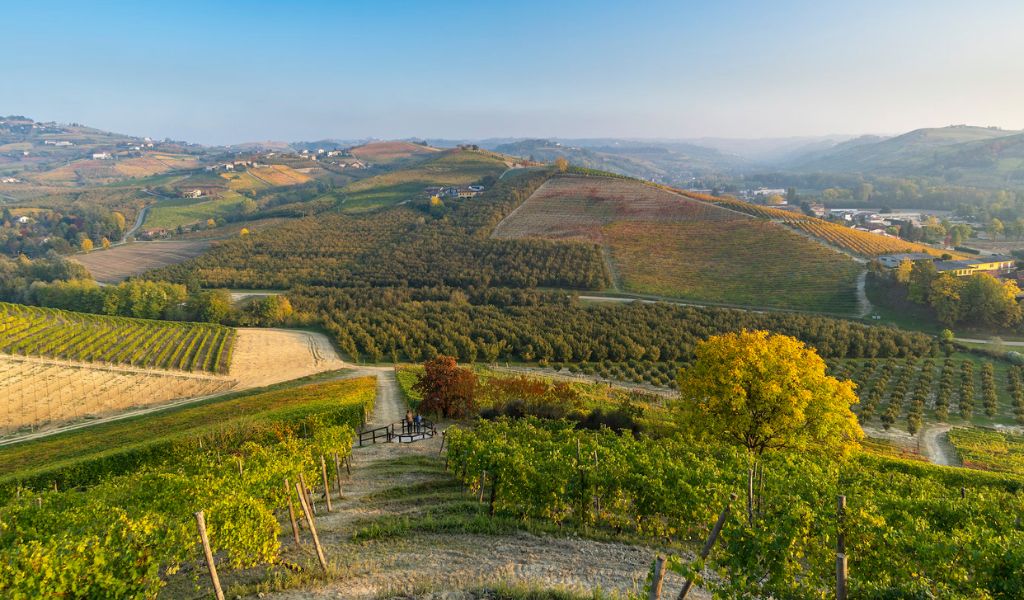 A stunning view of landscapes on the hill of vineyards in Barolo.