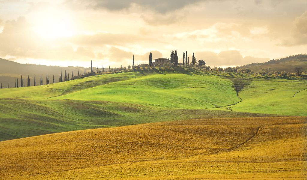 The beauty of the Tuscan landscape in the countryside, ideal for a private tour