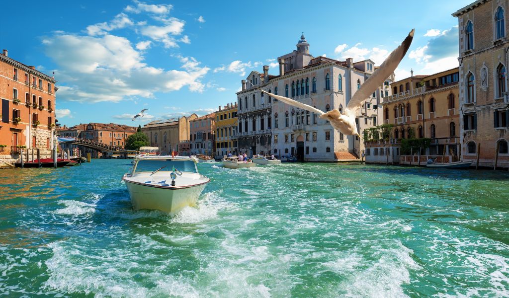 Tourists are taking a private boat tour in Venice